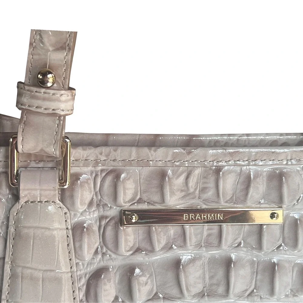 Brahmin mini asher